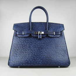 Hermes Birkin 35Cm Ostrich Stripe Handbags Dark Blue Silver